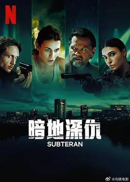 罗马尼亚电视剧《暗地深仇》（2025年）犯罪 夸克网盘