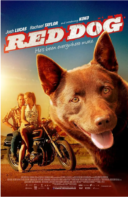 澳大利亚电影《红犬历险记》（2011） 喜剧 豆瓣8.3  [夸克网盘]
