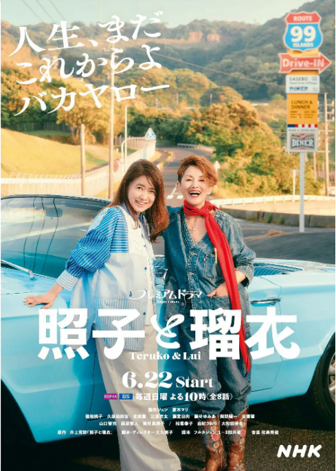 [日本电视剧]《照子与瑠衣》（2025）豆瓣7.9 [夸克网盘]