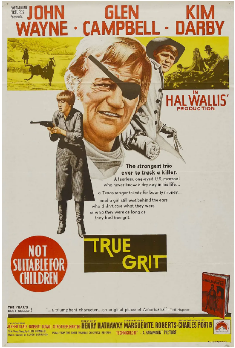 美国电影《大地惊雷》（1969） 西部 / 冒险 豆瓣7.9  [夸克网盘]