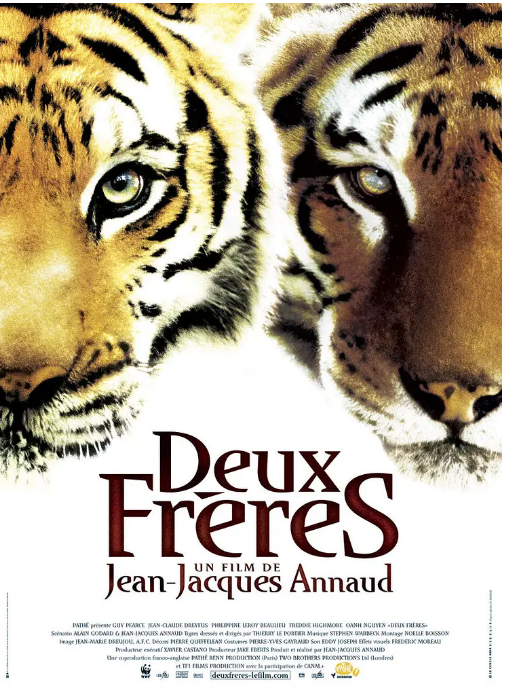 法国电影《虎兄虎弟》（2004） 冒险 豆瓣8.6 [夸克网盘]