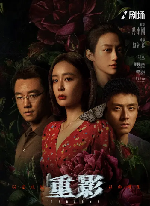 [中国大陆电视剧]《重影》（2025） 犯罪[夸克网盘]