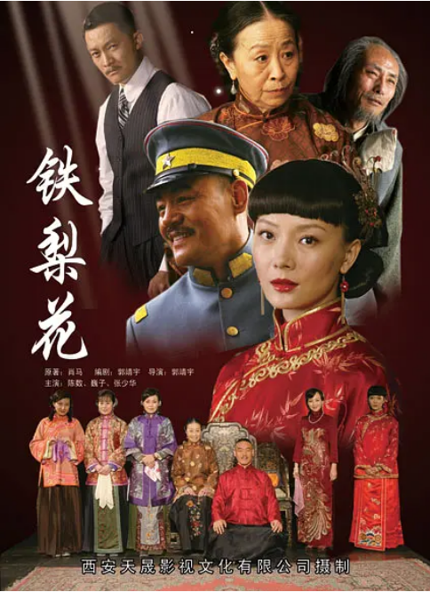 [中国大陆电视剧]《铁梨花》（2010） 动作 / 爱情 豆瓣8.1 [夸克网盘]