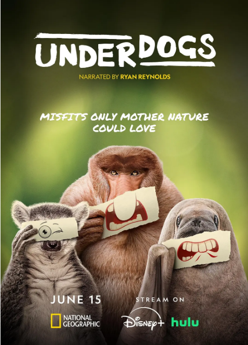 美国纪录片《废柴英雄》（2025）豆瓣8.9[夸克网盘]