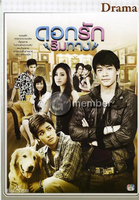 [泰国电视剧]《爱在路上》（2010）惊悚 / 犯罪 豆瓣6.4 [夸克网盘]