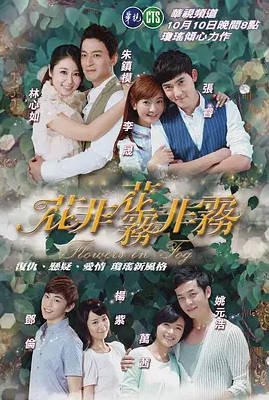 [中国大陆电视剧]《花非花雾非雾》（2013） 爱情 豆瓣5.7  [夸克网盘]