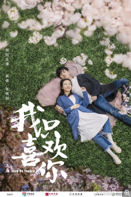 [中国大陆电视剧]《我只喜欢你》（2019）爱情 豆瓣评分7.3 [夸克网盘]
