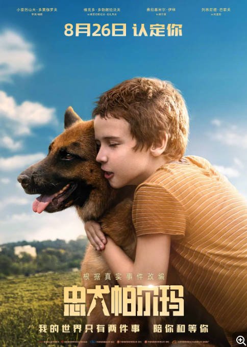 俄罗斯电影《忠犬帕尔玛》 (2021) 俄语中字 豆瓣8.8 家庭 [夸克网盘]