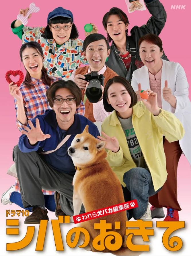 日本电视剧《柴犬的规矩～我们这群狗痴编辑部～》[2025][夸克网盘]