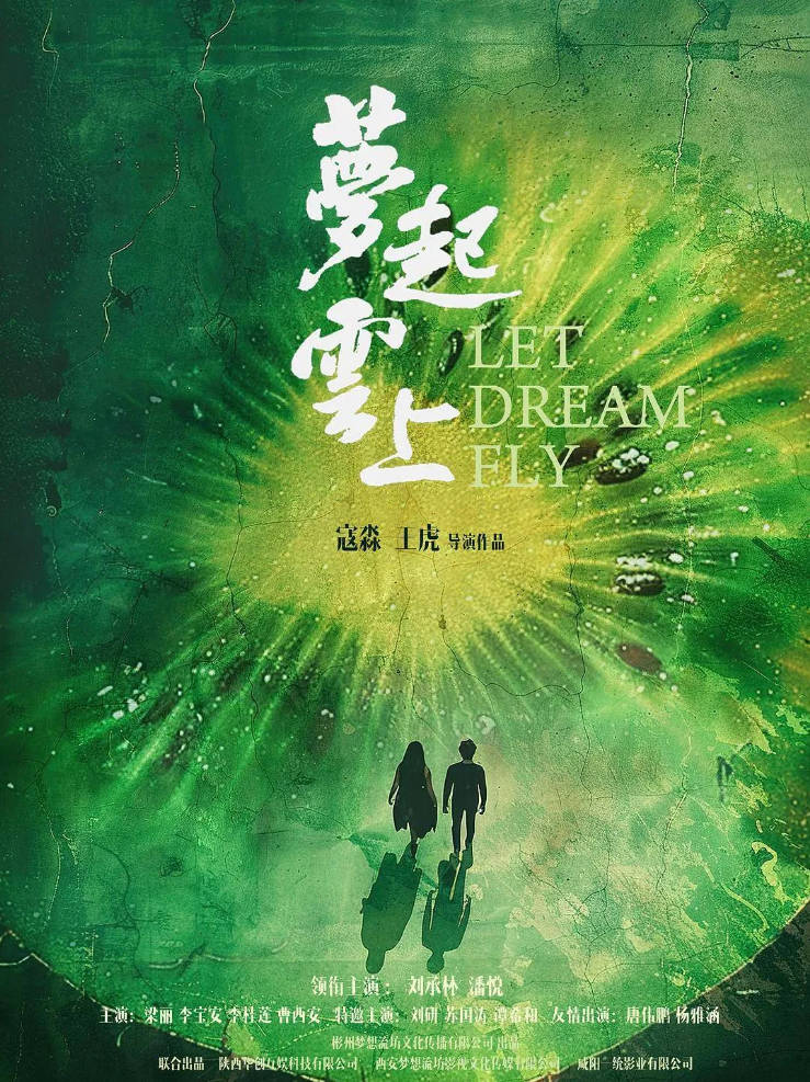 中国大陆电影《梦起云上》[2024][夸克网盘]