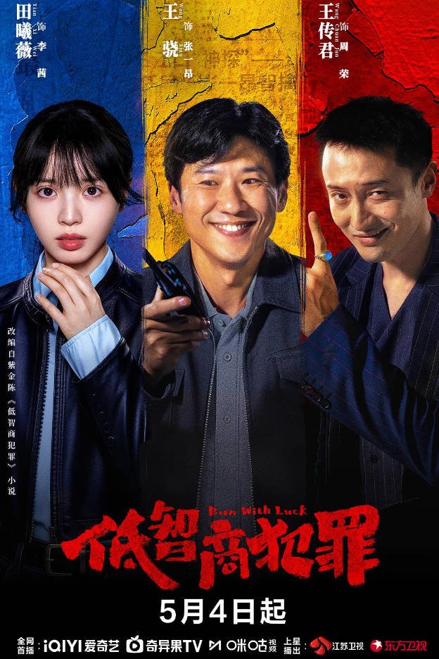 中国大陆电视剧《低智商犯罪》 [2025][悬疑][夸克网盘]