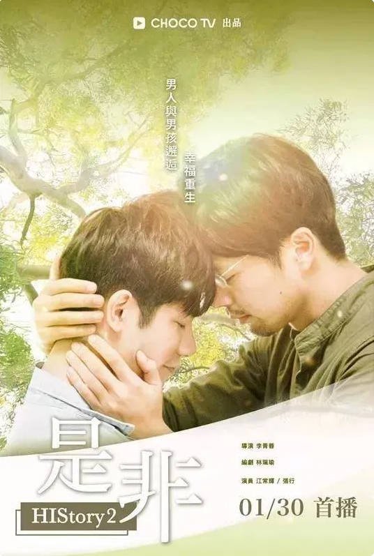 中国台湾电视剧《是非》(2018)  [爱情/同性/家庭] 汉语普通话7.6分[夸克网盘]