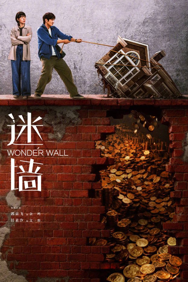 中国大陆电视剧《迷墙》(2026)  [犯罪][夸克网盘]