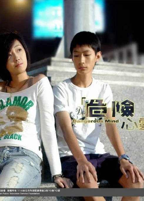 中国台湾电视剧《危险心灵》（2006）剧情 豆瓣9.0[夸克网盘]